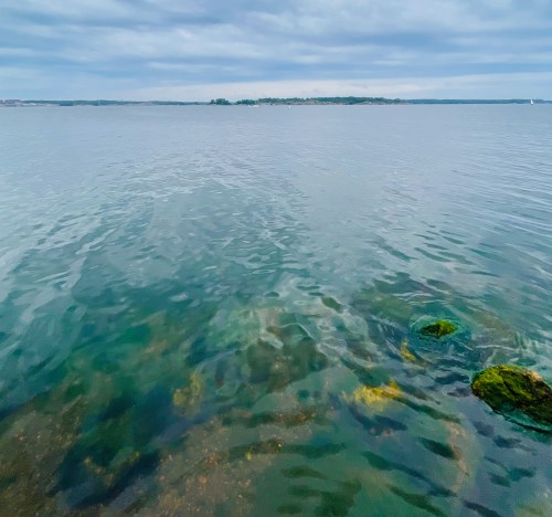 ©TheEDSLass theedslass.co.uk