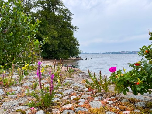 ©TheEDSLass theedslass.co.uk