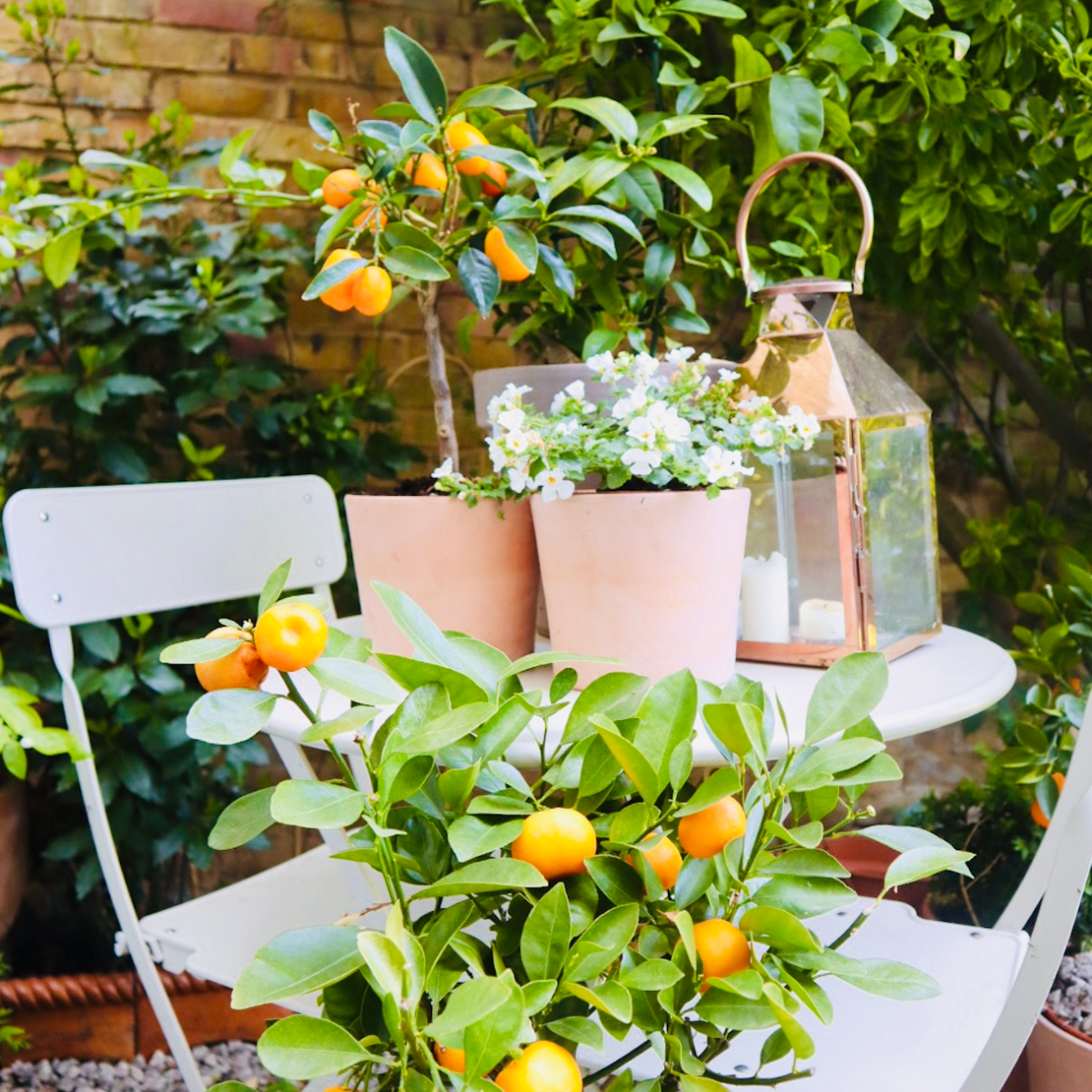 Home: Garden Terrace