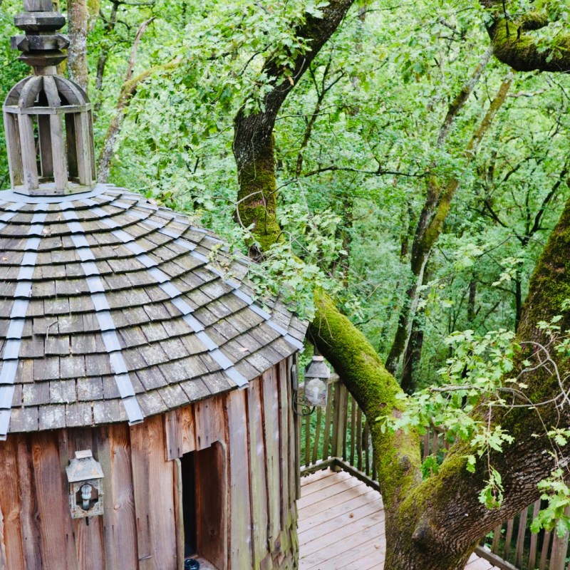 Treehouse, France